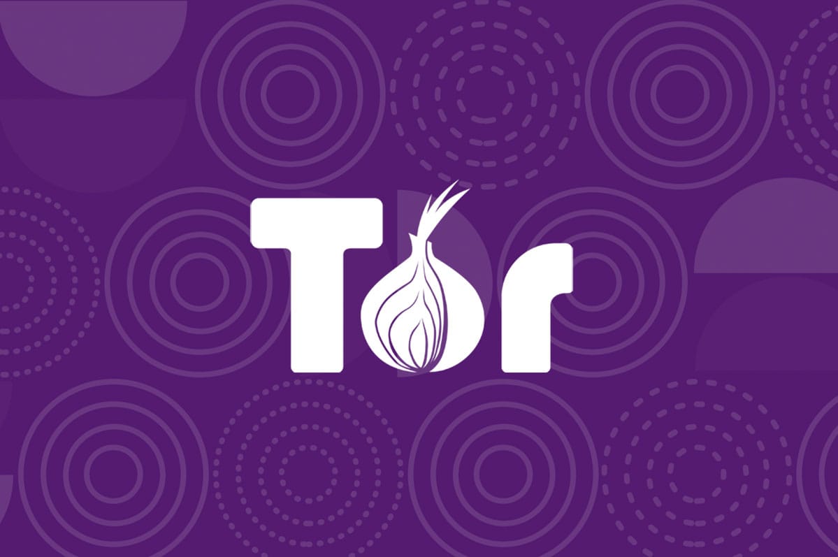 Onion Insights: Peeling Back the Layers of the Privacy Web