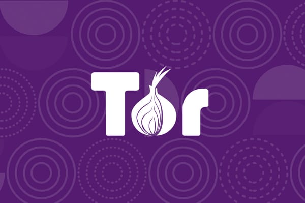 Onion Insights: Peeling Back the Layers of the Privacy Web